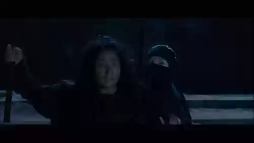 卧虎藏龙十大杀手是谁(卧虎藏龙女主角叫什么名字)插图29