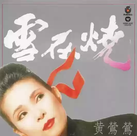 2014十大金曲飞碟说(历年十大中文金曲金奖)插图2
