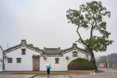 普宁十大新闻(普宁电视台新闻回放)插图2