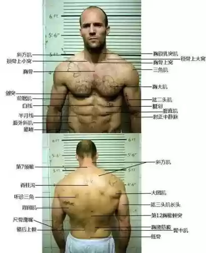 好莱坞十大卖座男星(西方男明星)插图23