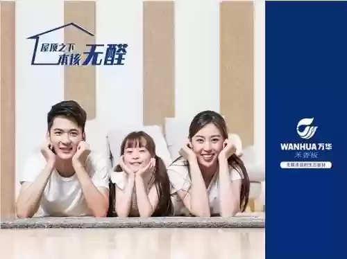 2016年板材十大品牌(十大板材排名有哪些品牌)插图17