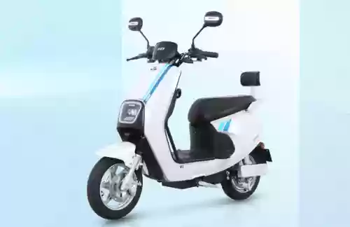 2013电动车十大品牌(中国十大电动车排名)插图2