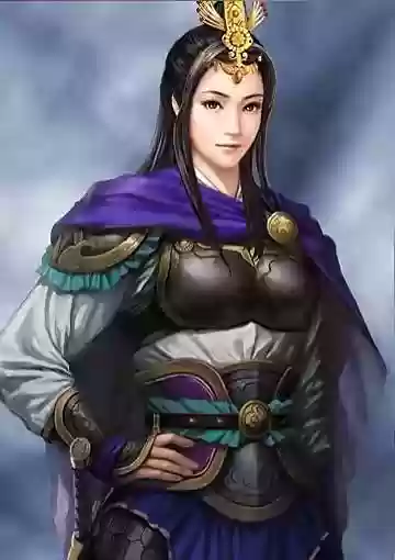 三国志14曹魏阵容(乱世曹魏传平民武将搭配)插图