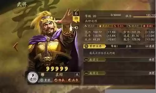 袁绍张宝阵容怎么搭配插图
