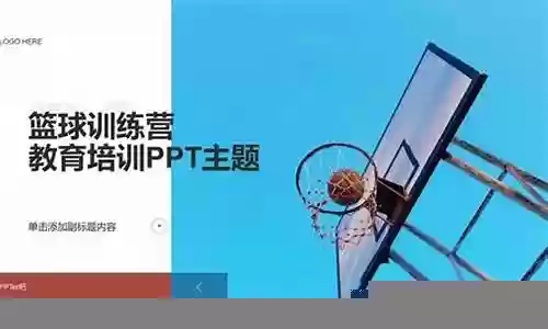篮球校队阵容搭配图表插图