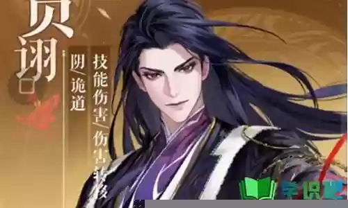 贾诩怎么搭配阵容插图