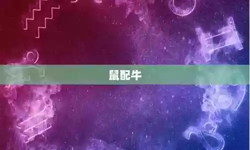 生肖派对解密阵容搭配插图