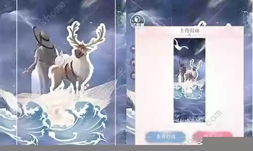 流浪的家园搭配什么阵容插图