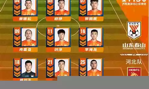 山东泰山2022阵容图片插图