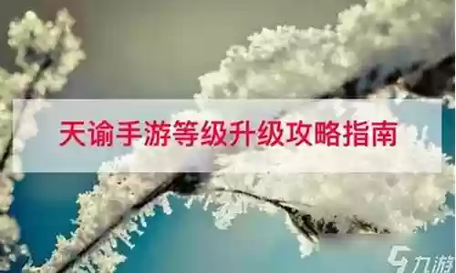 天谕升级攻略2016插图