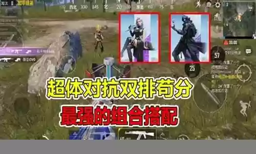 对抗双排阵容搭配图解插图