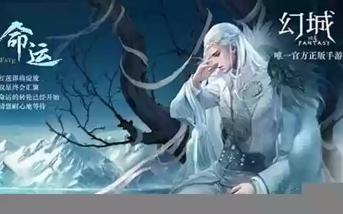 幻城手游攻略6 8