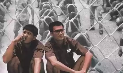 监狱风云3阵容搭配插图