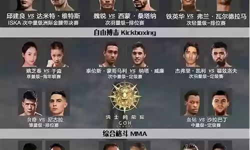 勇士的荣耀38阵容搭配插图