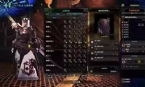 怪物猎人特殊装备代码插图