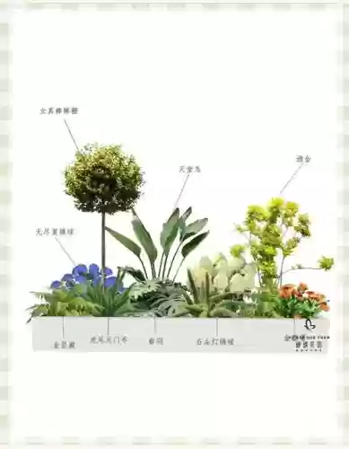 植物阵容投稿插图1