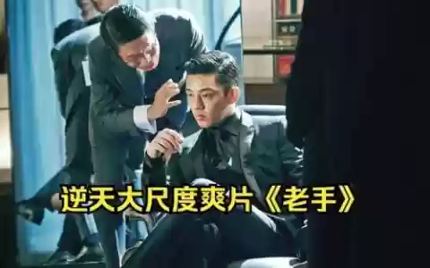 老手的阵容