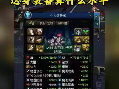 dnf假猪瞎子装备插图1