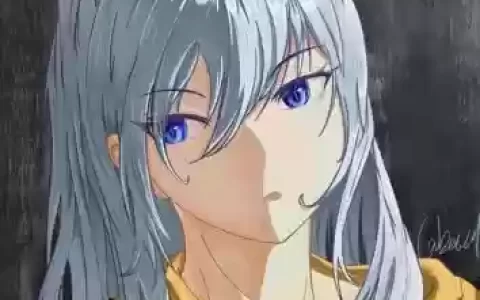 白岚阵容