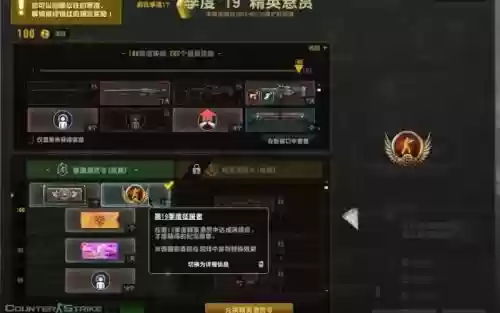 csol金勋章武器插图