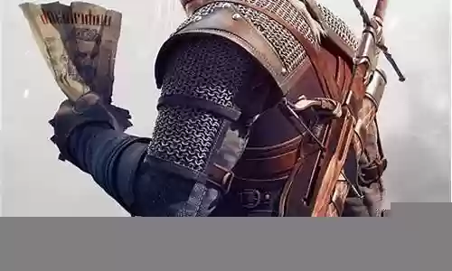 巫师3石之心主线攻略插图