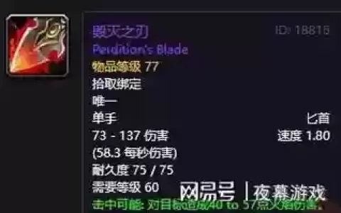 盗贼60武器