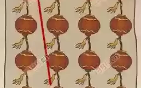 史上最坑爹的游戏7攻略灯笼
