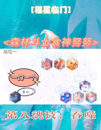 奴努阵容插图1