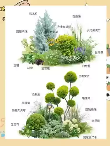植物阵容投稿插图