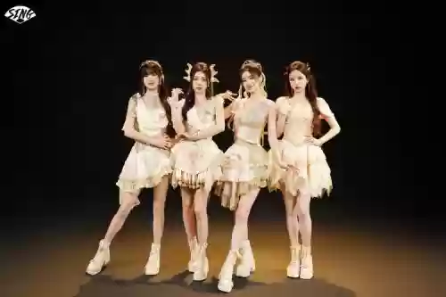 女团阵容姐姐插图1