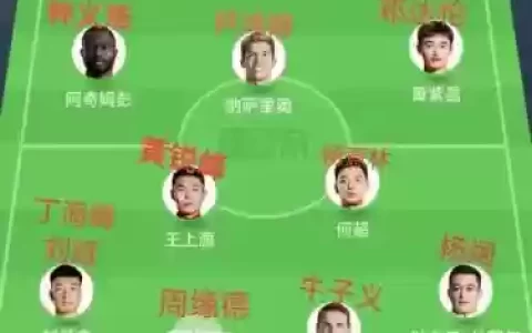 河南雪豹阵容