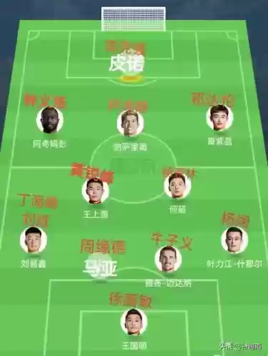 河南雪豹阵容插图