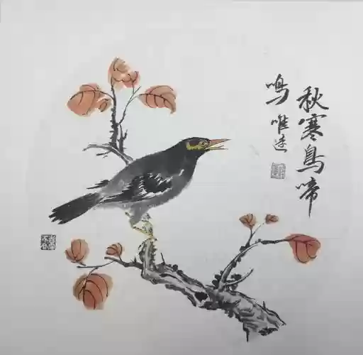 花鸟加哪个技能插图1