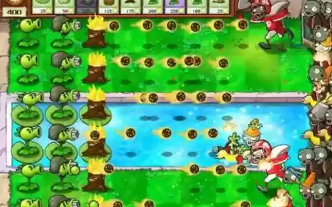 5000阳光阵容