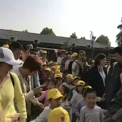 石榴玩阵容插图1