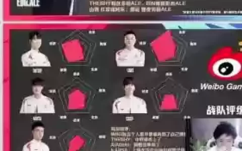 京东阵容解说