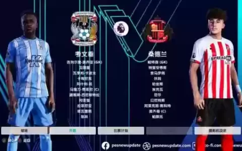 英超桑德兰阵容