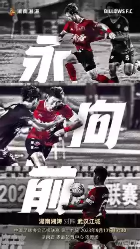湘涛阵容插图1