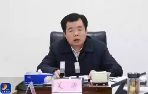 吴涛阵容插图