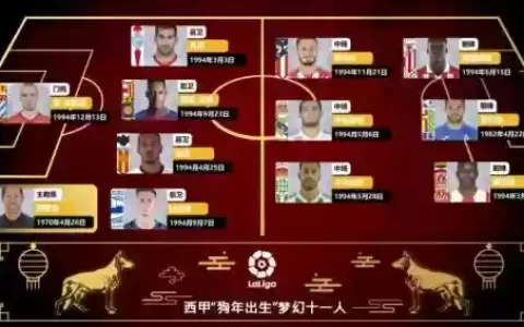 术狗阵容