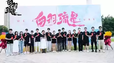 白羽流星阵容插图1