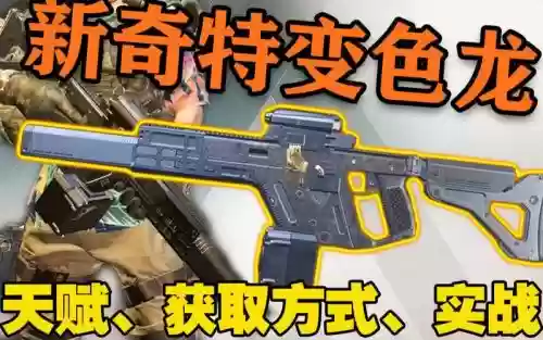 全境封锁传说武器插图1
