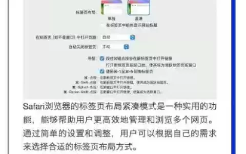 macsafari攻略