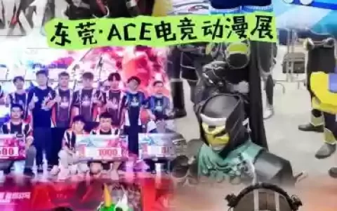 ace阵容推荐