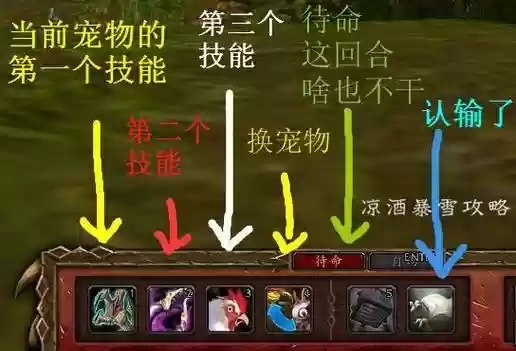 小宠物对战驱散技能插图1