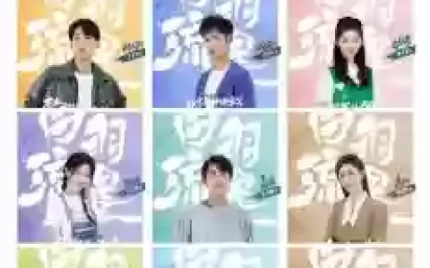 白羽流星阵容