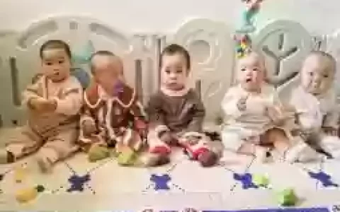 好友阵容宝宝