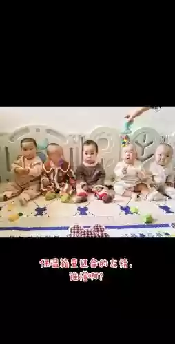 好友阵容宝宝插图