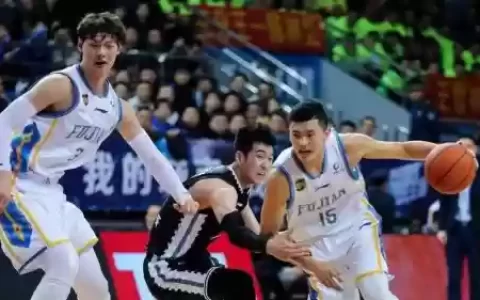 福建豹阵容