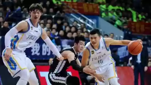 福建豹阵容插图